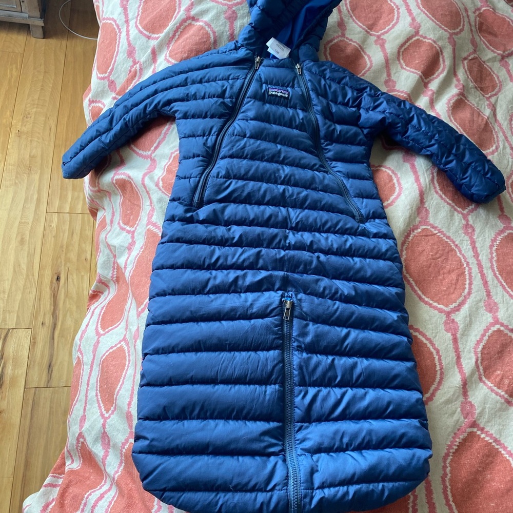 Patagonia Down Bunting 12 Months